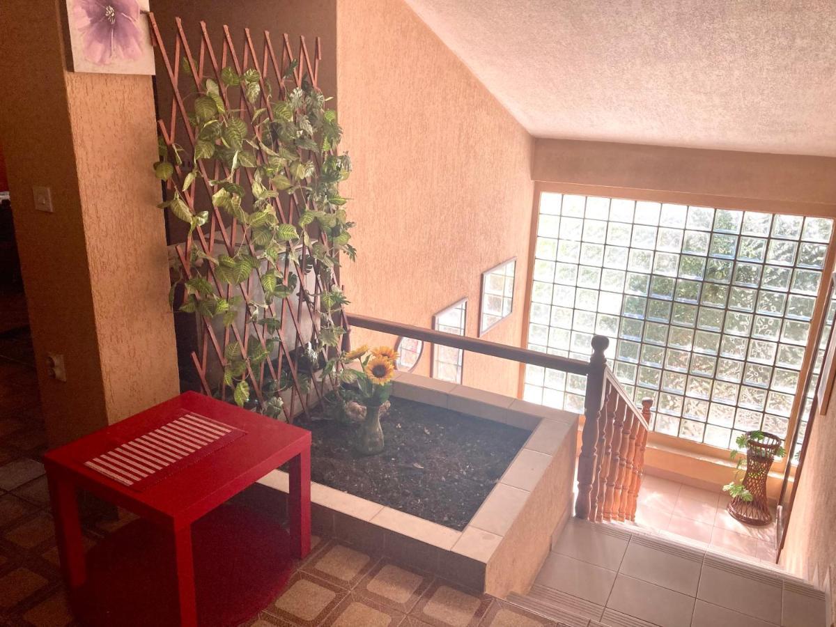 Apartmani Ilic Herceg Novi Exteriör bild